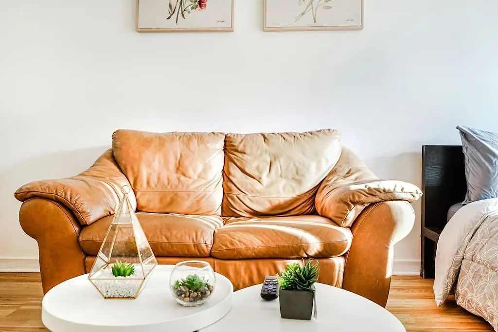 Lumiere Et Proprete A Mcgill Parking Gratuit Apartment Montreal