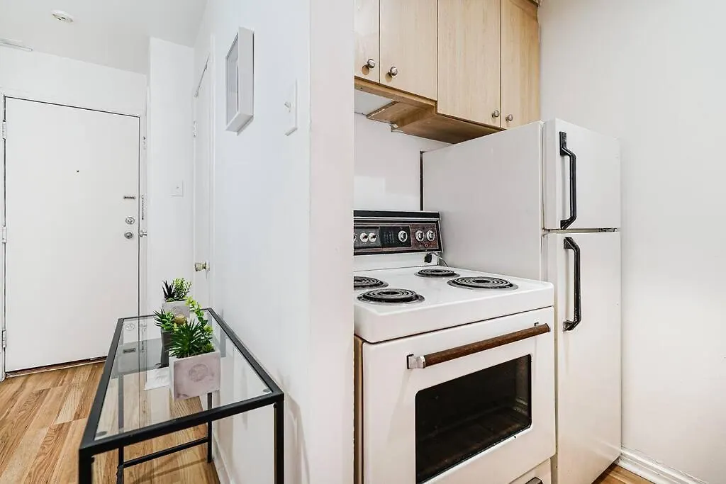 Lumiere Et Proprete A Mcgill Parking Gratuit Apartment Montreal