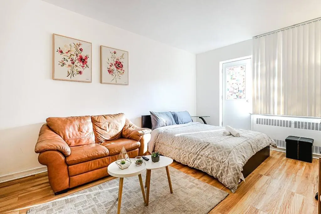 Lumiere Et Proprete A Mcgill Parking Gratuit Apartment Montreal