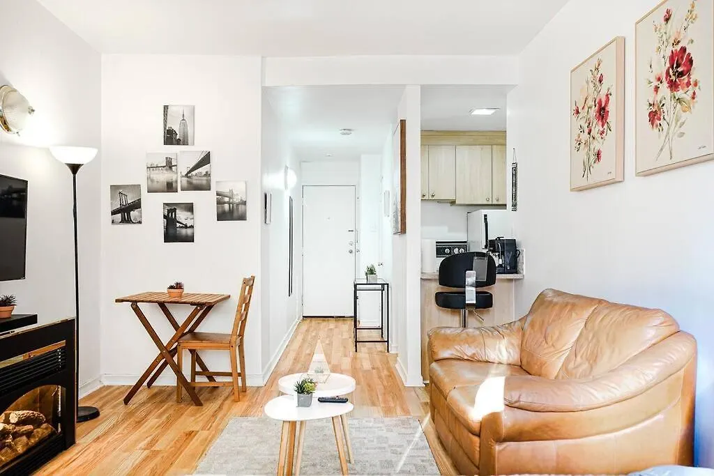Lumiere Et Proprete A Mcgill Parking Gratuit Apartment Montreal